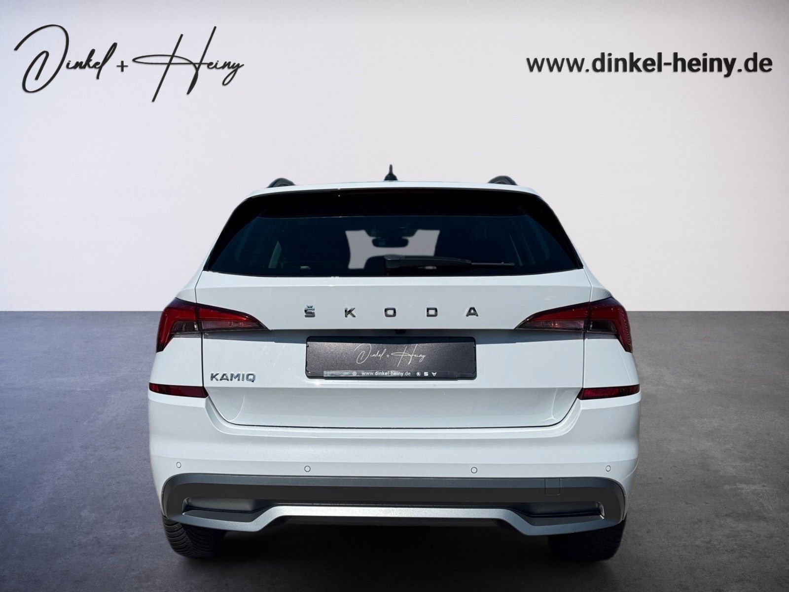 Fahrzeugabbildung SKODA Kamiq Ambition Tour 1.5 TSI