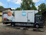 DAF LF 260 Termoking T 1000 R -30 Lambert  LBW Bär - Angebote entsprechen deinen Suchkriterien