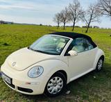 Volkswagen Beetle 1.6 - Volkswagen Beetle aus 2006: Cabrio