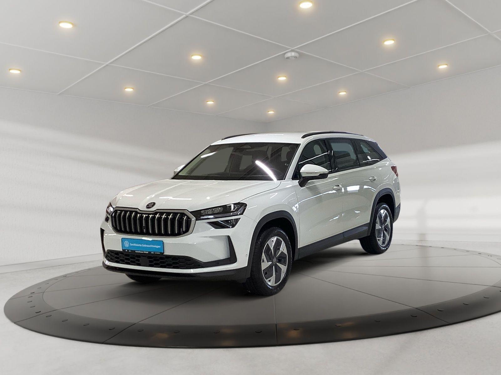 Skoda Kodiaq Selection TDI 142 kW DSG 4x4 AHK LEDER