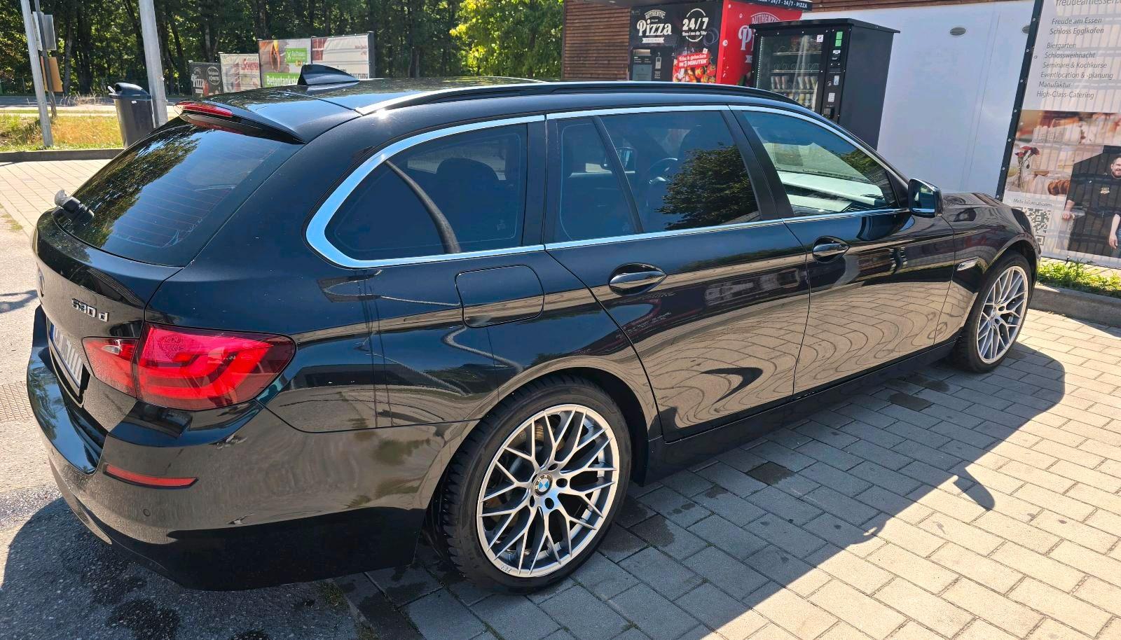 BMW 530 2010 — rear view