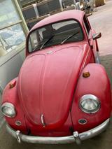 Volkswagen Käfer 1200 läuft 07  - Volkswagen Käfer in Stuttgart