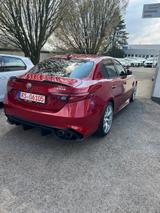 Alfa Romeo Giulia 2.9 V6 Bi-Turbo 375 kW AT8 Quadrifogl... - Alfa Romeo Giulia mit Benzin-Antrieb: Rot