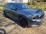 Skoda Kodiaq 1.5 Selection DSG | Neupreis 52K - Skoda Kodiaq Gebrauchtwagen in Bonn