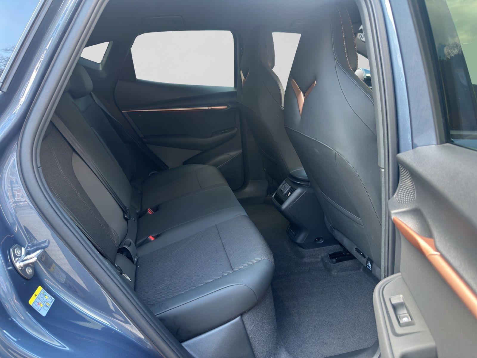 Cupra Tavascan - Bild 6