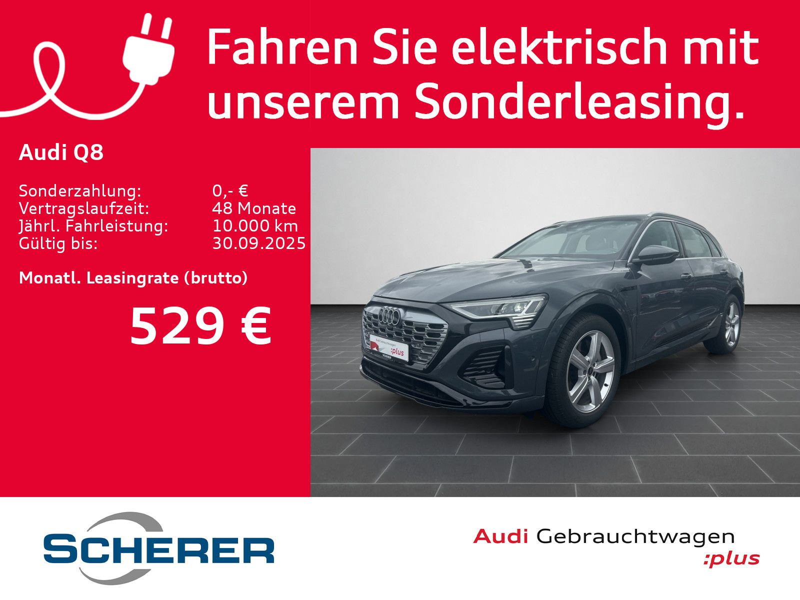 Audi Q8 50 e-tron S line quattro Matrix-LED/ACC/uvm.