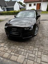 Audi A5 2.0 TDI Cabriolet - - Audi A5: Braun, Cabrio