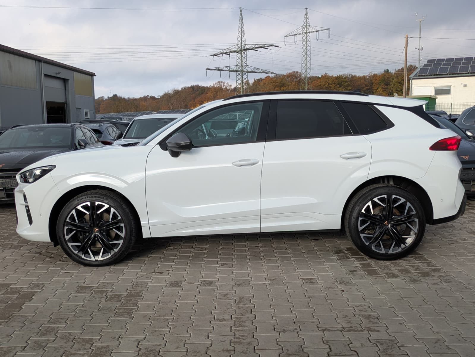 Fahrzeugabbildung CUPRA Terramar 2.0 TSI 4D VZ HUD*MATRIX*PANO*DCC*20"