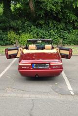 Alfa Romeo Spider, Rostfrei, Top Zustand - Alfa Romeo Spider von privat
