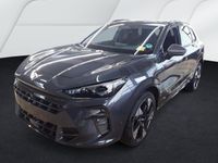 Cupra Terramar - Vorschau Bild 3