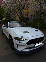 Ford Mustang EcoBoost 2.3 Turbo  US-Import - Ford Mustang Gebrauchtwagen in Frankfurt