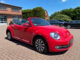 Volkswagen Beetle Cabriolet Design klima erste hand - VW Beetle Unfallwagen