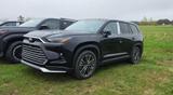Toyota GRAND Platinum Max T1: 68.000 EURO - schwarze Toyota Highlander