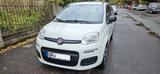 Fiat Panda 1.2 8V Klima - Fiat New Panda von privat