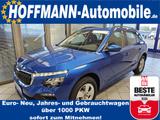Skoda Kamiq Selection Climatr.,Kamera,Sitzhzg.,LED-Sch