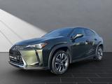 Lexus UX 250 h*LED*TOP* KAMERA*NAVI*FACELIFT - Lexus aus 2023