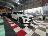 Kia Stinger GT 4WD - weiße Kia Stinger