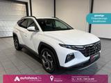 Hyundai Tucson 1.6 T-GDI Trend 4WD|Navi|360°|Sitzhzg.|