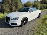 Audi S5 3.0 S tronic quattro Cabrio - Steuerkette NEU - Audi S5 aus 2010: Cabrio