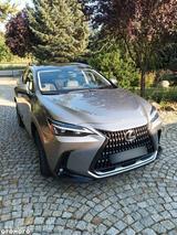 Lexus NX 350h 350h Business Line Business Line - silberne Lexus NX-Serie
