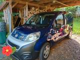 Fiat Fiorino LKW Zulassung - Fiat: Lkw