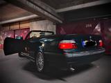 BMW Bmw e36 Cabrio mit Hardtop - BMW: Hardtop E36