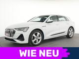 Audi e-tron 50 S-Line Navi|Kamera|LED|SHZ|ACC|PDC