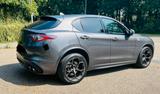 Alfa Romeo Stelvio 2.9 Bi-T. V6 375kW Quadrifoglio AT8-... - Alfa Romeo: Quadrifoglio