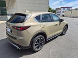 Mazda CX-5 D 184 Newground AWD,8xAlu Sommer , Winter - Mazda CX-5: Newground