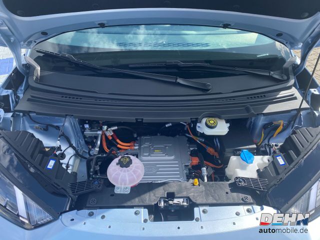 BYD Dolphin Surf Active