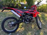Beta RR 50 STD - BETA VON 1 BIS 50 CCM