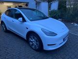 Tesla Model Y Standard Range + Hinterradantrieb RWD - Tesla Model Y: Rwd
