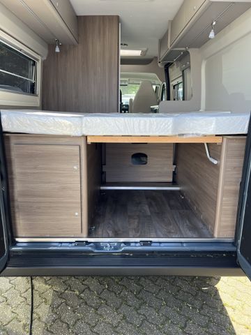 Carado pro CV 600 * sofort verfügbar*