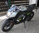 Kawasaki BX125A Ninja 125 silber/schwarz/grün  - KAWASAKI VON 81 BIS 125 CCM