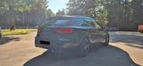 Seat Leon CUPRA 4Drive Performance trifft Perfektion - Seat Leon in Stuttgart