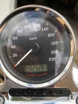 Harley-Davidson Sportster 1200 low - HARLEY-DAVIDSON 2007 SPORTSTER 1200