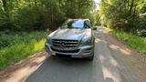 Mercedes-Benz Mercedes ML 300 Grand Edition *KEIN Luftfa... - Mercedes-Benz: Ml Grand Edition