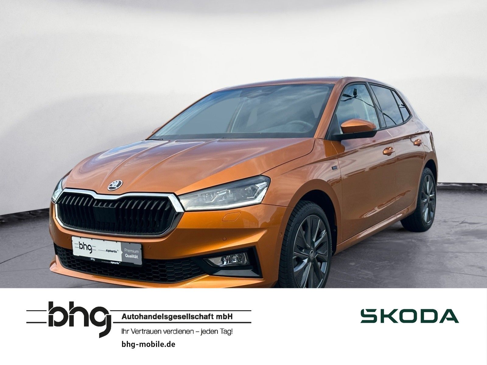 Skoda Fabia 1.0 TSI DSG Tour ACC Navi Virtual Kamera