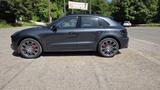 Porsche Macan GTS Alcant Luftfed. Pano, AHK, 360 Kamera  - Porsche Macan in Wiesbaden