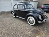 Volkswagen Käfer - Volkswagen Käfer: Schwarz