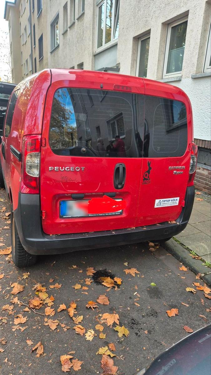 Peugeot Bipper 2009 — rear view