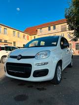 Fiat Panda Easy - Klima - 1 Hand - Fiat Gebrauchtwagen von 2020