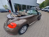 Volkswagen Beetle 1.2 TSI BMT Design Cabriolet Design - mit Benzin-Antrieb: Braun, Cabrio