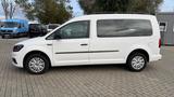 Volkswagen Caddy 2,0TDI DSG Maxi Luftheizung Camper  - VW Caddy Gebrauchtwagen in Rostock
