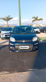 Fiat Panda 1.2 Trussardi - Fiat Panda TRUSSARDI mit Benzin-Antrieb