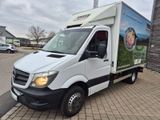Mercedes-Benz Sprinter II Kühlkoffer"516"Austausch - Motor - Angebote entsprechen deinen Suchkriterien