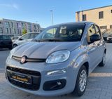Fiat Panda Base/2021/1HD/Unfallfrei - Fiat Panda in Frankfurt (Main)