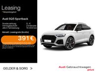 Audi SQ5 - Vorschau Bild 1