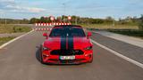 Ford Mustang GT 5.0 V8 Cabrio Premium - gebrauchte Ford Mustang aus dem Jahr 2021