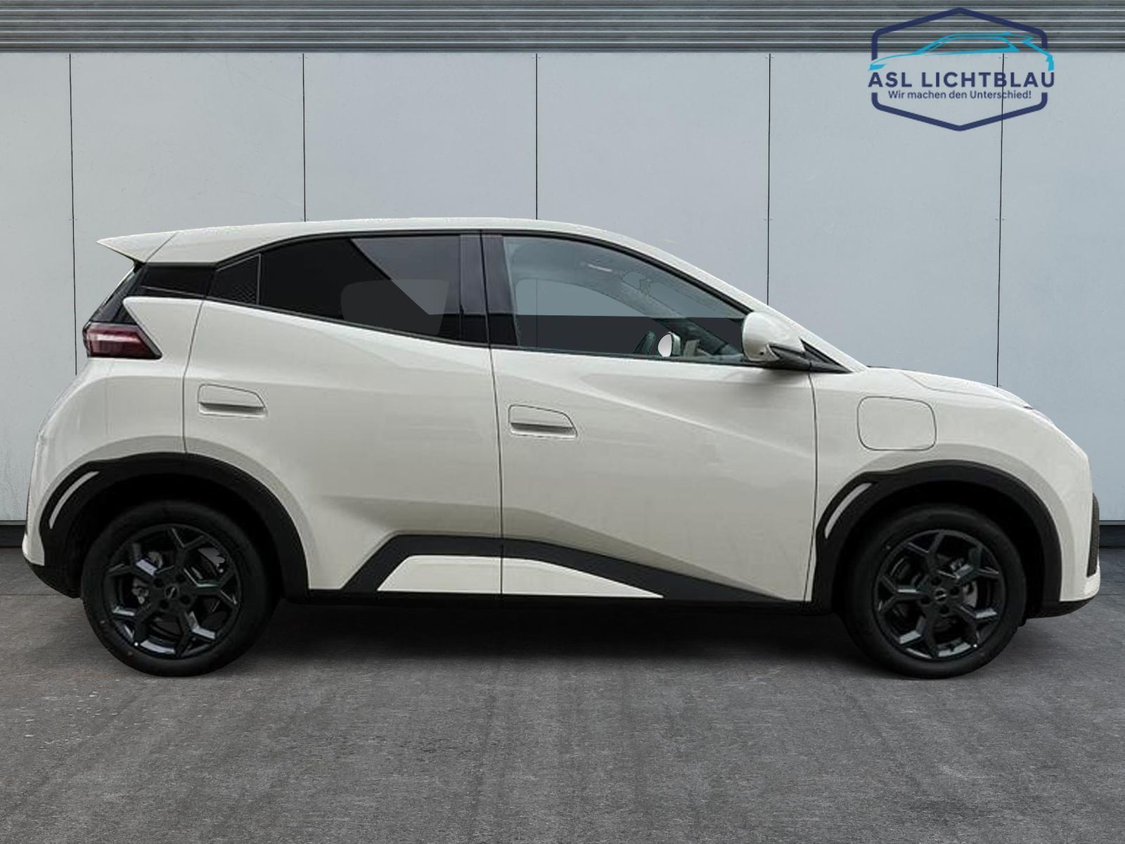 BYD DOLPHIN SURF